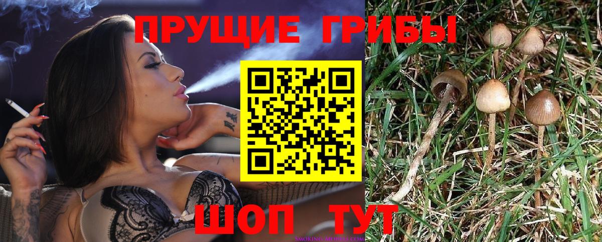Орехово-Зуево  Псилоцибиновые грибы Magic Shrooms  Вход с VPN 